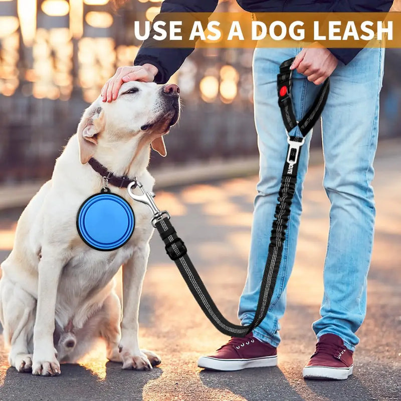 Heavy Duty Pet Harness & Leash Combo for Car Travel