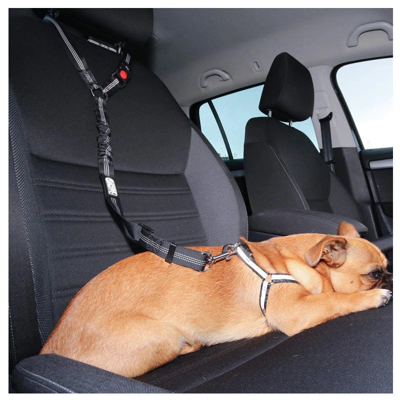 Heavy Duty Pet Harness & Leash Combo for Car Travel