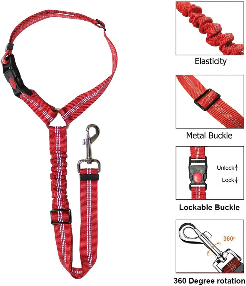 Heavy Duty Pet Harness & Leash Combo for Car Travel