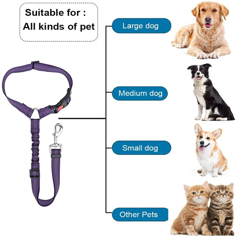 Heavy Duty Pet Harness & Leash Combo for Car Travel