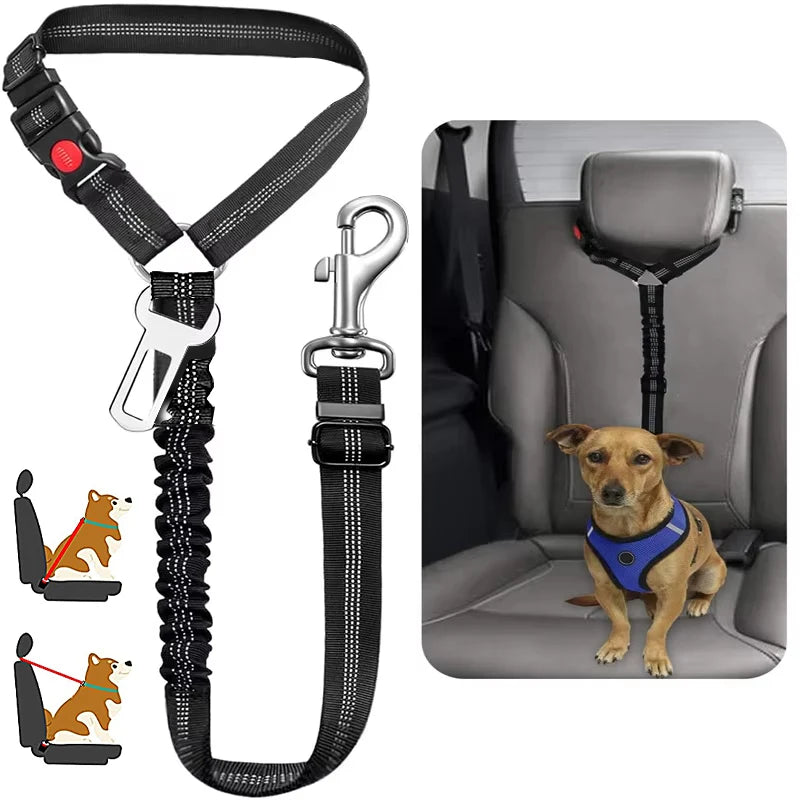 Heavy Duty Pet Harness & Leash Combo for Car Travel