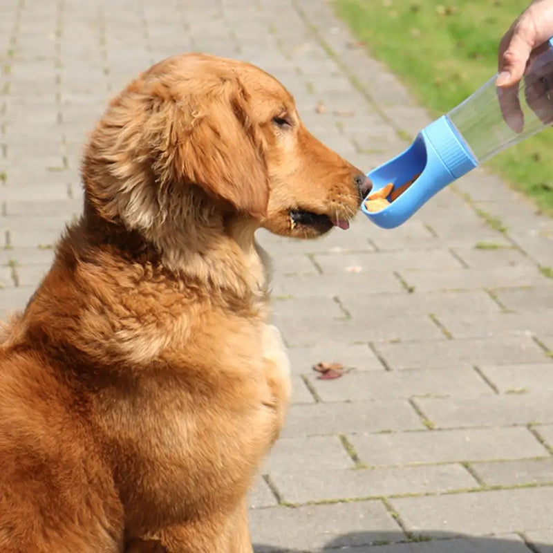 2-in-1 Portable Pet Water Bottle & Food Container