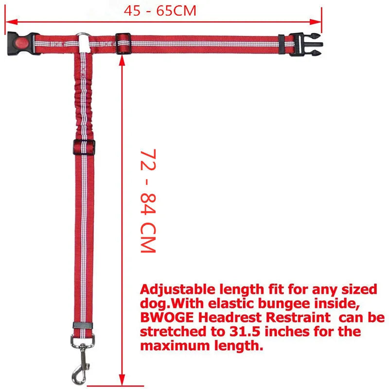 Heavy Duty Pet Harness & Leash Combo for Car Travel