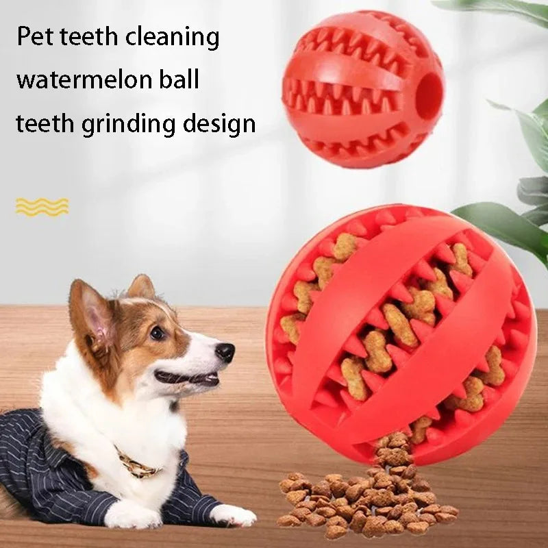 Durable Dog Toy – Tooth Cleaning Treat Ball