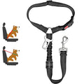 Heavy Duty Pet Harness & Leash Combo for Car Travel