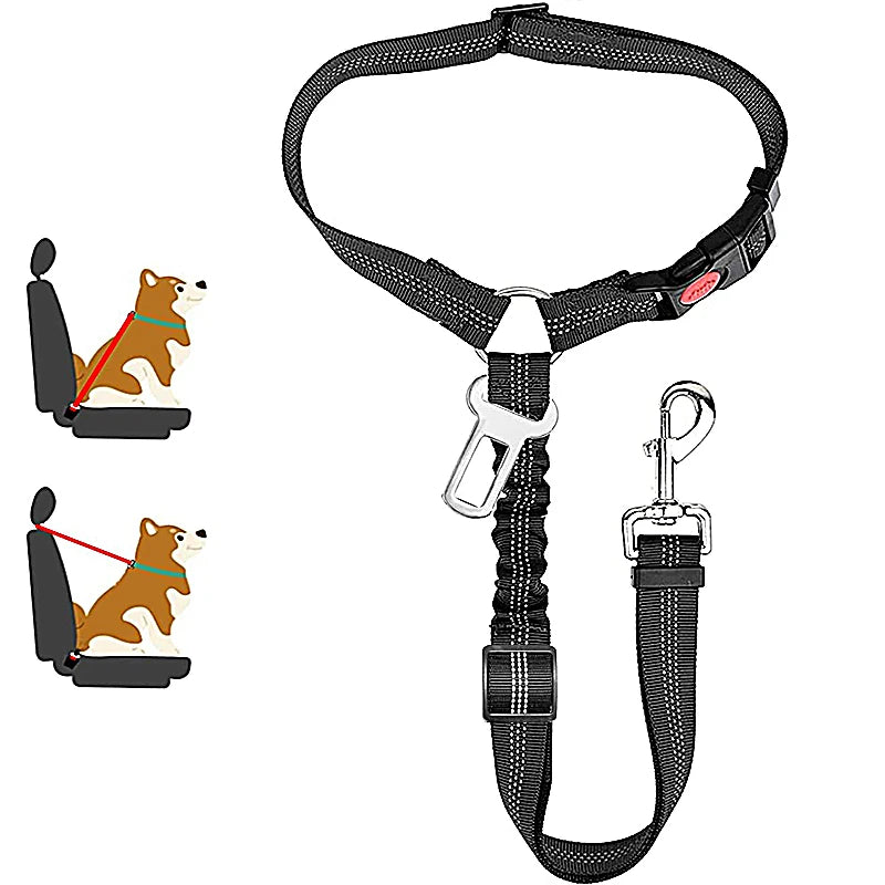 Heavy Duty Pet Harness & Leash Combo for Car Travel