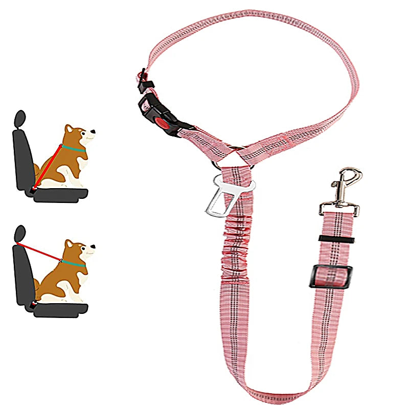 Heavy Duty Pet Harness & Leash Combo for Car Travel