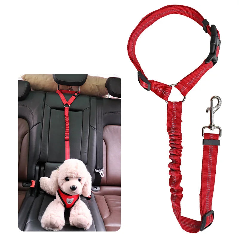 Heavy Duty Pet Harness & Leash Combo for Car Travel