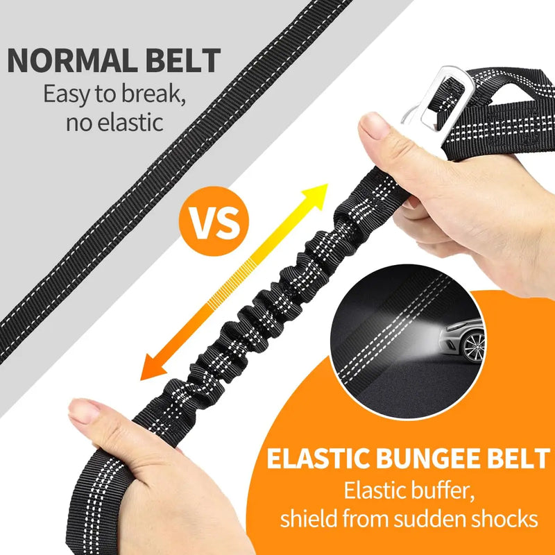 Heavy Duty Pet Harness & Leash Combo for Car Travel