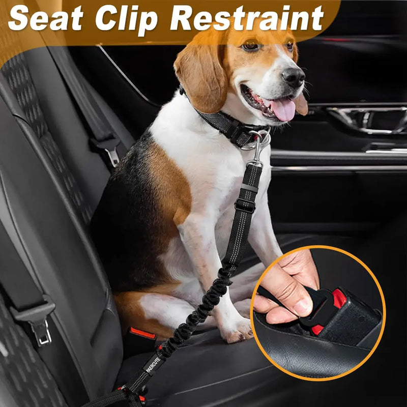 Heavy Duty Pet Harness & Leash Combo for Car Travel