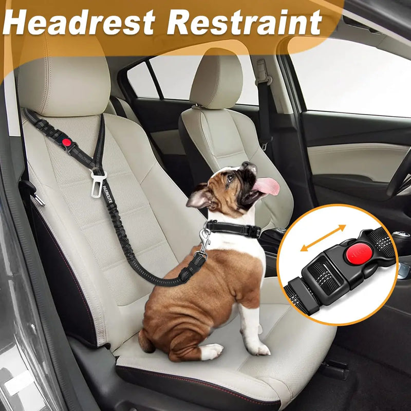 Heavy Duty Pet Harness & Leash Combo for Car Travel