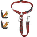 Heavy Duty Pet Harness & Leash Combo for Car Travel