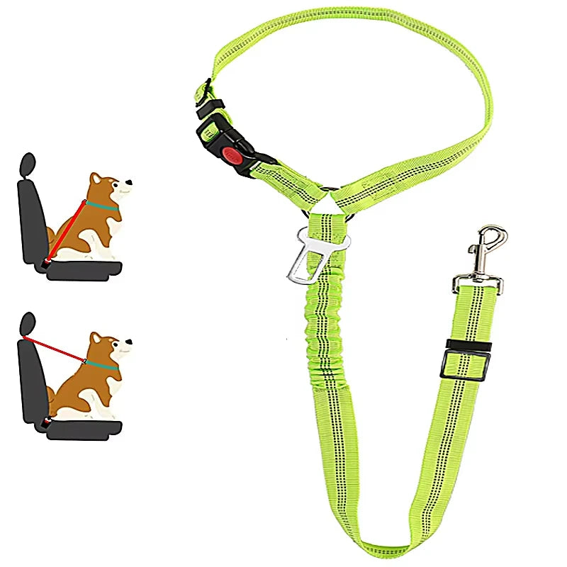 Heavy Duty Pet Harness & Leash Combo for Car Travel