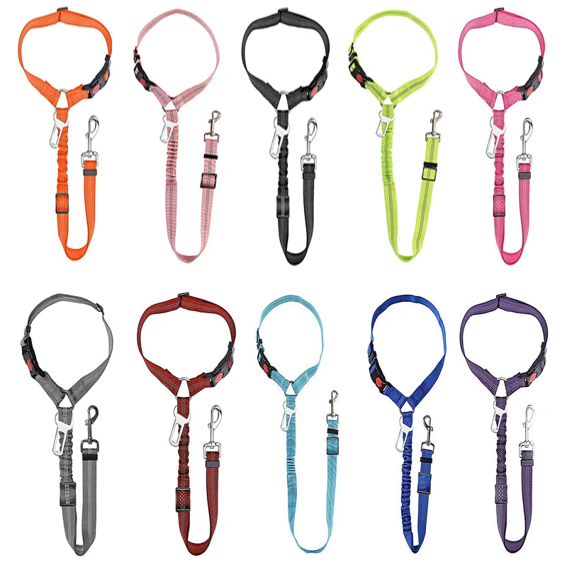 Heavy Duty Pet Harness & Leash Combo for Car Travel