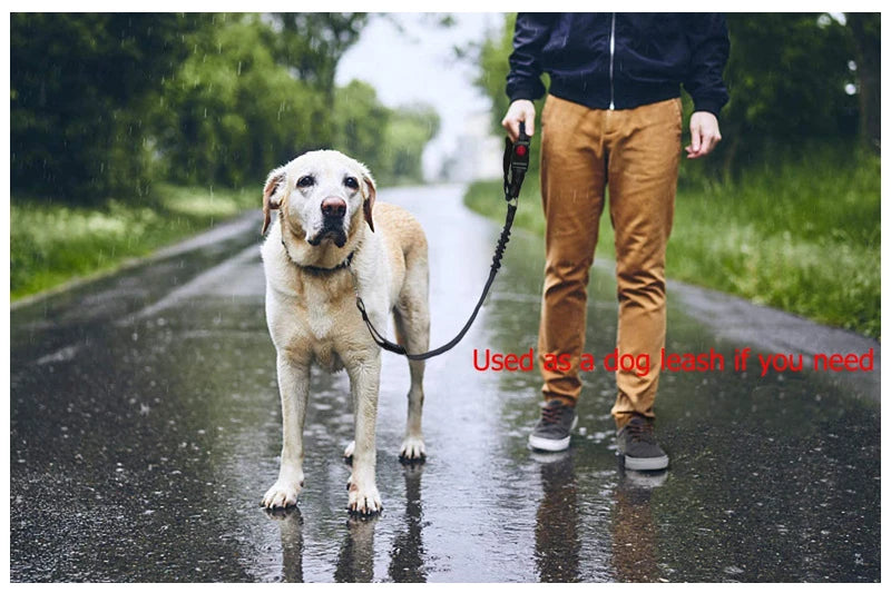Heavy Duty Pet Harness & Leash Combo for Car Travel